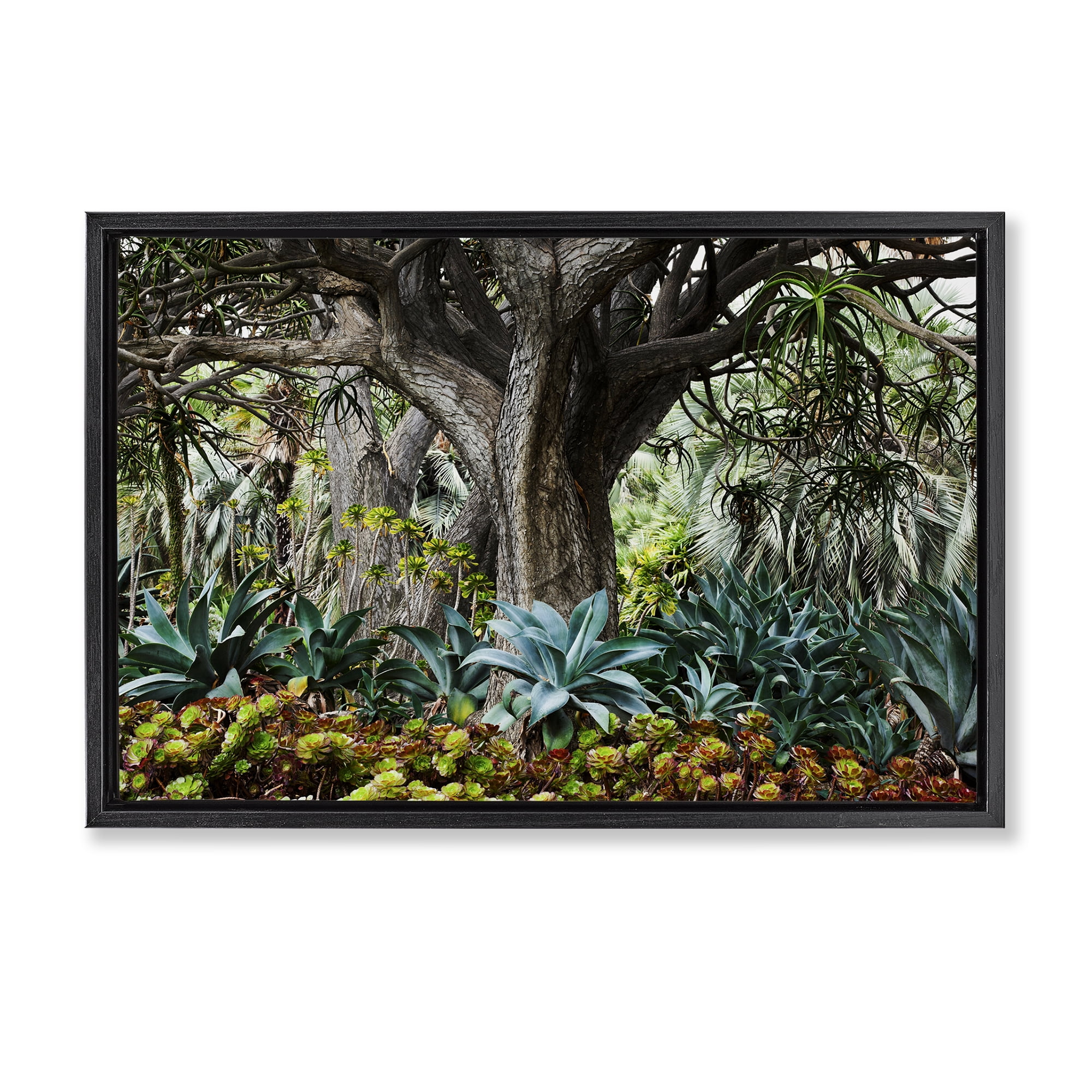 Stupell Industries Lush Tropical Vegetation Landscape & Nature Photography Black Floater Framed Canvas Art Print Wall Art, 31 x 21