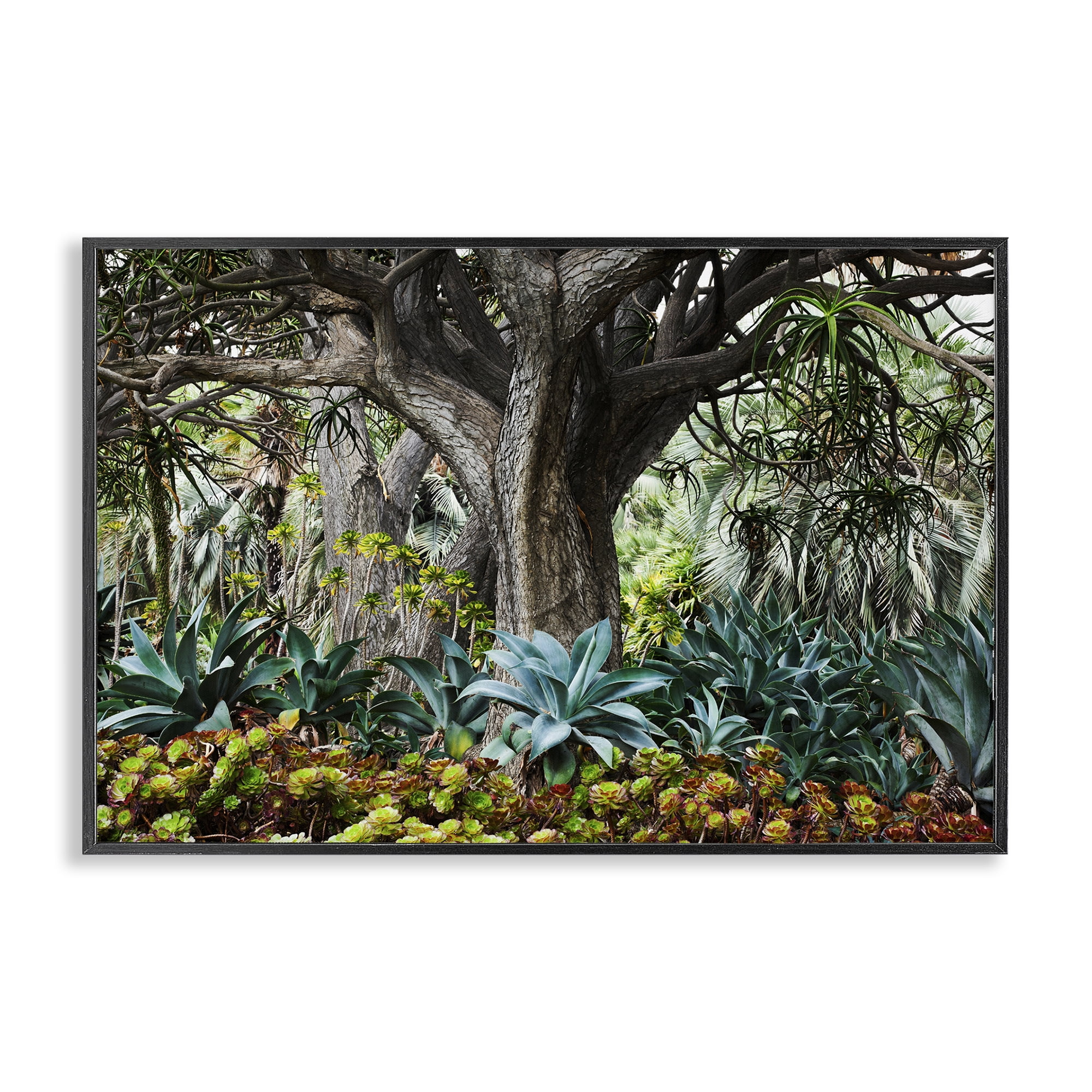 Stupell Industries Lush Tropical Vegetation Landscape & Nature Photography Black Framed Art Print Wall Art, 24 x 16
