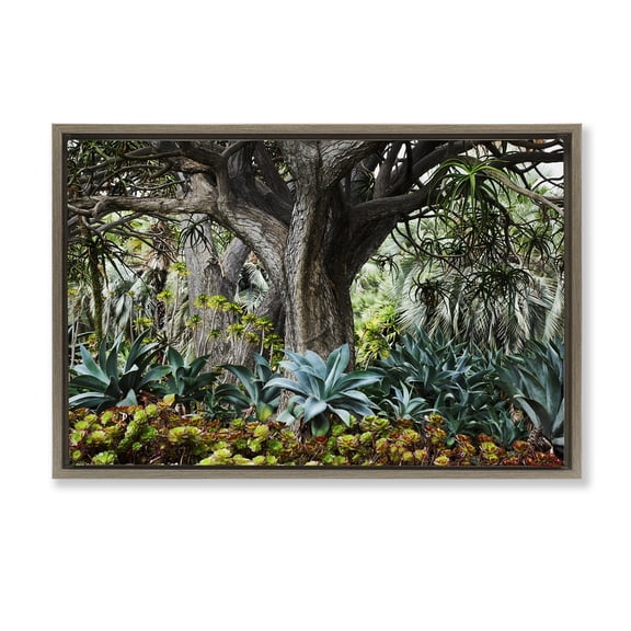 Stupell Industries Lush Tropical Vegetation Landscape & Nature Photography Brown Floater Framed Canvas Art Print Wall Art, 25 x 17