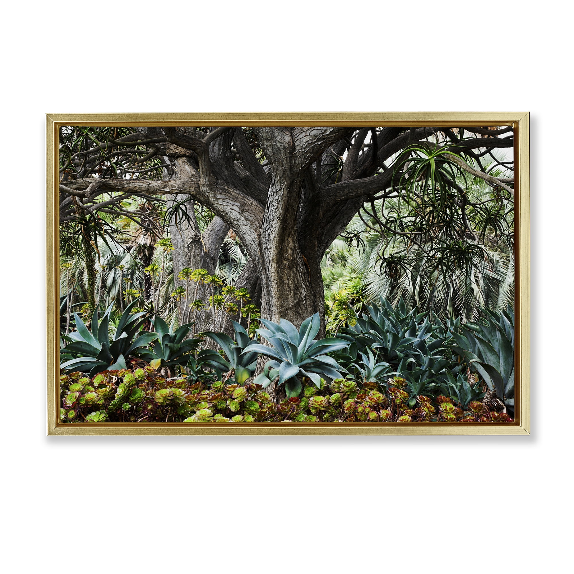Stupell Industries Lush Tropical Vegetation Landscape & Nature Photography Gold Floater Framed Canvas Art Print Wall Art, 25 x 17