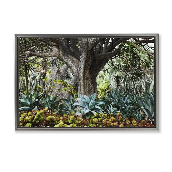 Stupell Industries Lush Tropical Vegetation Landscape & Nature Photography Gray Floater Framed Canvas Art Print Wall Art, 31 x 21