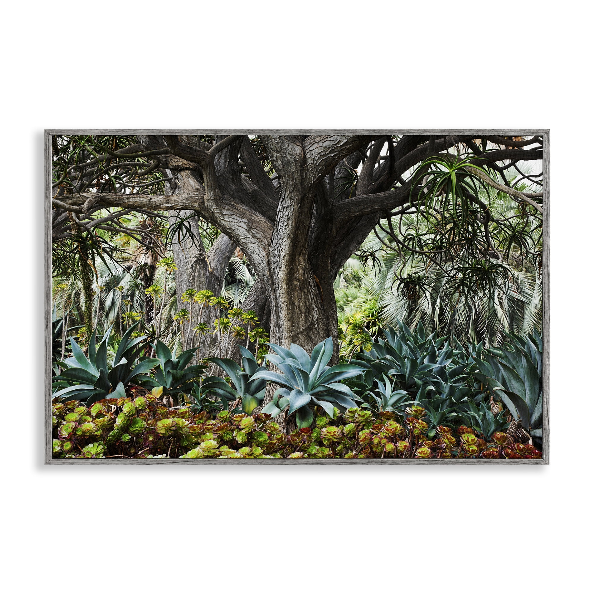 Stupell Industries Lush Tropical Vegetation Landscape & Nature Photography Gray Framed Art Print Wall Art, 24 x 16