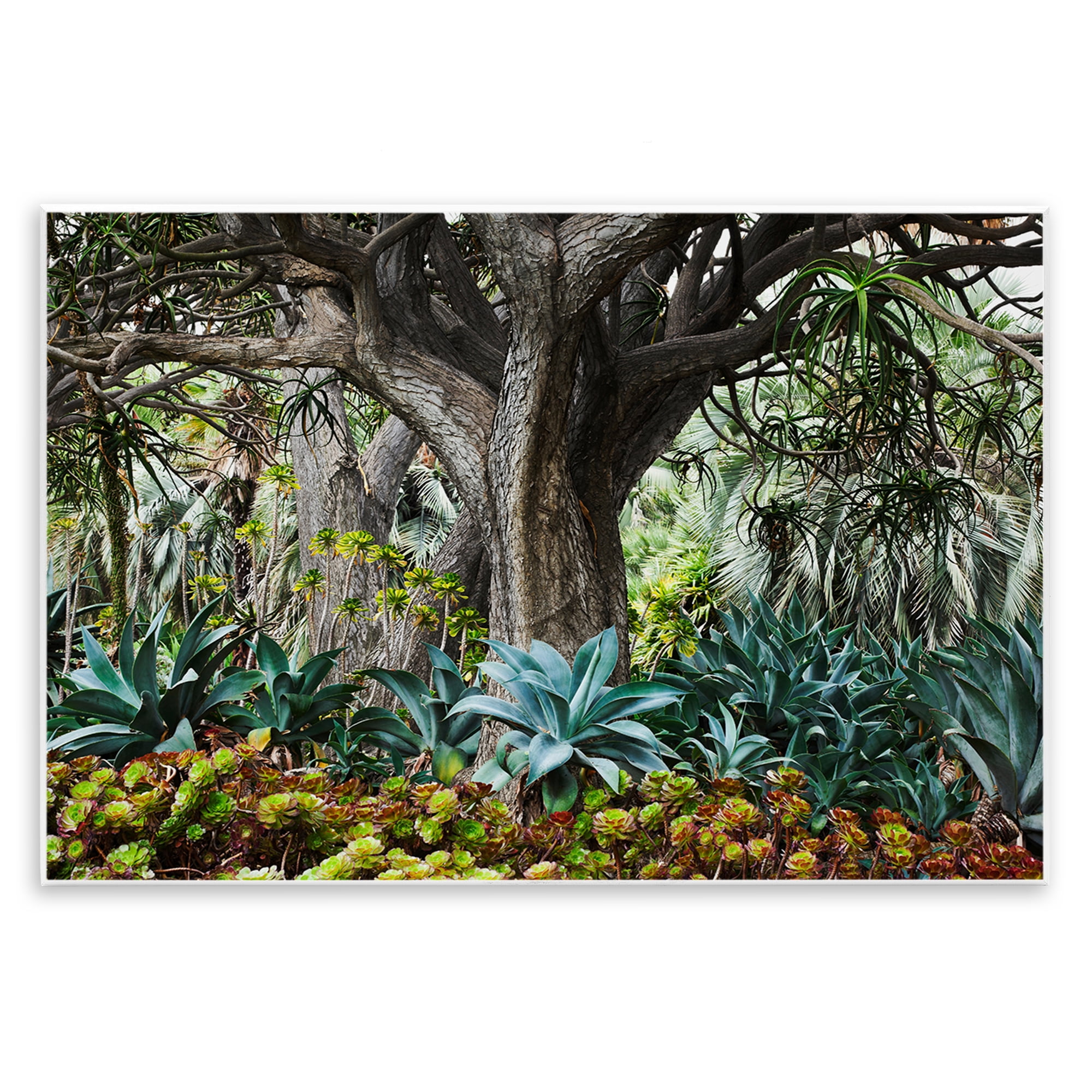 Stupell Industries Lush Tropical Vegetation Landscape & Nature Photography Unframed Art Print Wall Art, 19 x 13