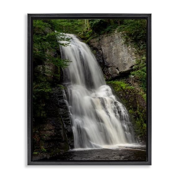 Stupell Industries Lush Waterfall Flow Black Framed Floater Canvas Wall Art, design by Jeff Poe Photography