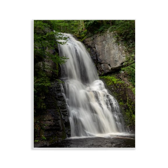 Stupell Industries Lush Waterfall Flow Wall Plaque Art, design by Jeff Poe Photography