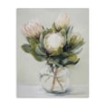 thumbnail image 1 of Stupell Industries Transitional Lush & Wild Tropics Canvas Art, 16 x 20, by Svetlana Aleynikova, 1 of 8