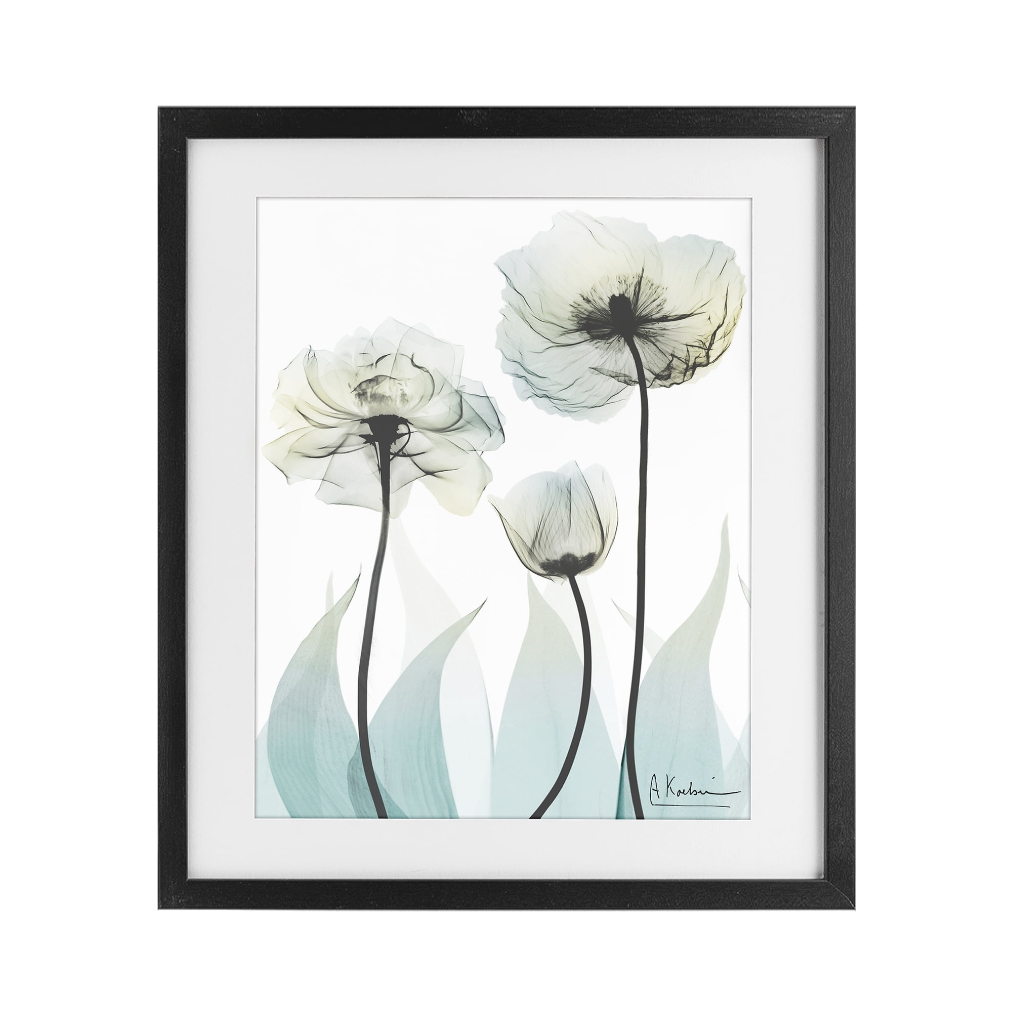 Stupell Industries Luxury Of Creation Black Framed Print Under Glass, design by Albert Koetsier