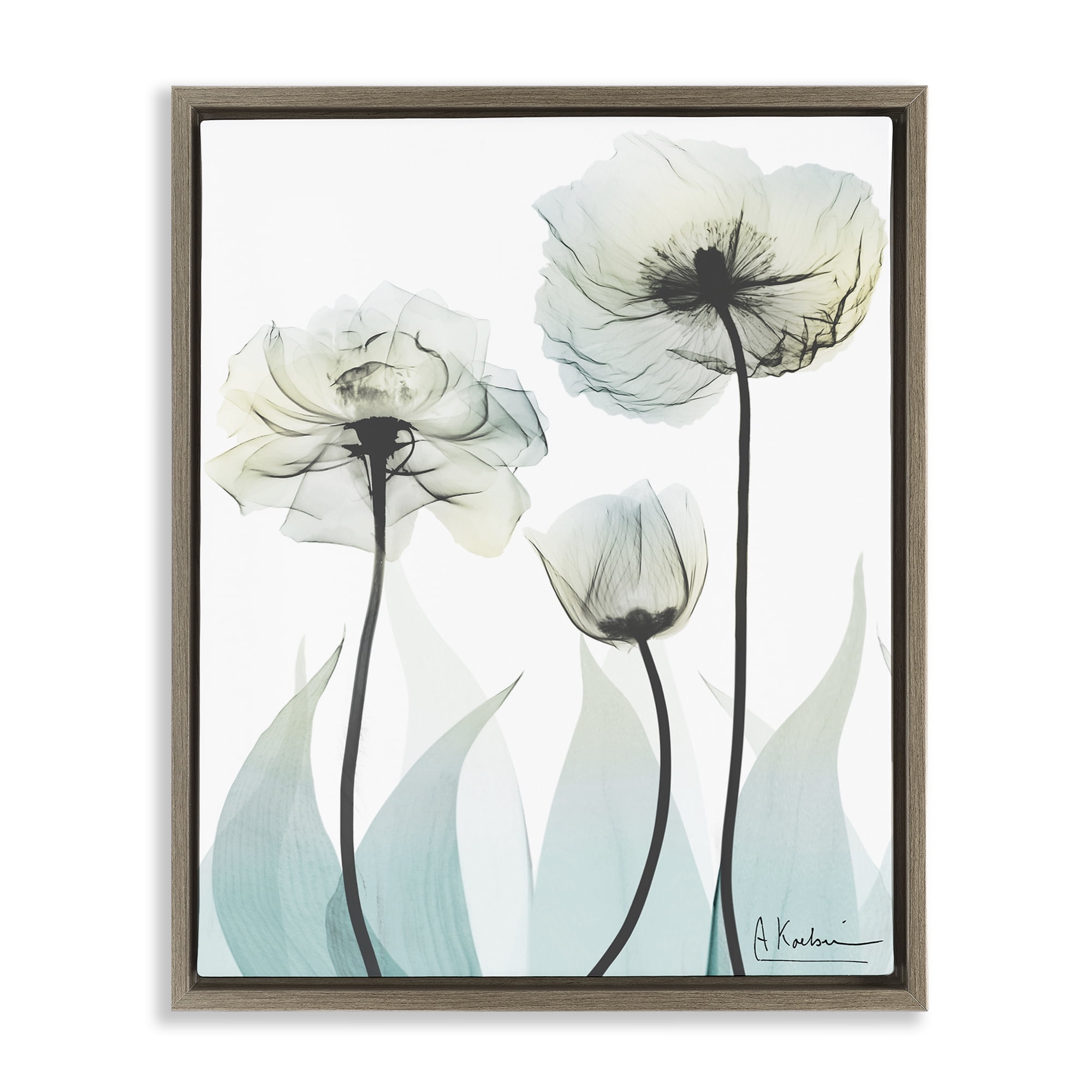Stupell Industries Luxury Of Creation Brown Framed Floater Canvas Wall Art, design by Albert Koetsier