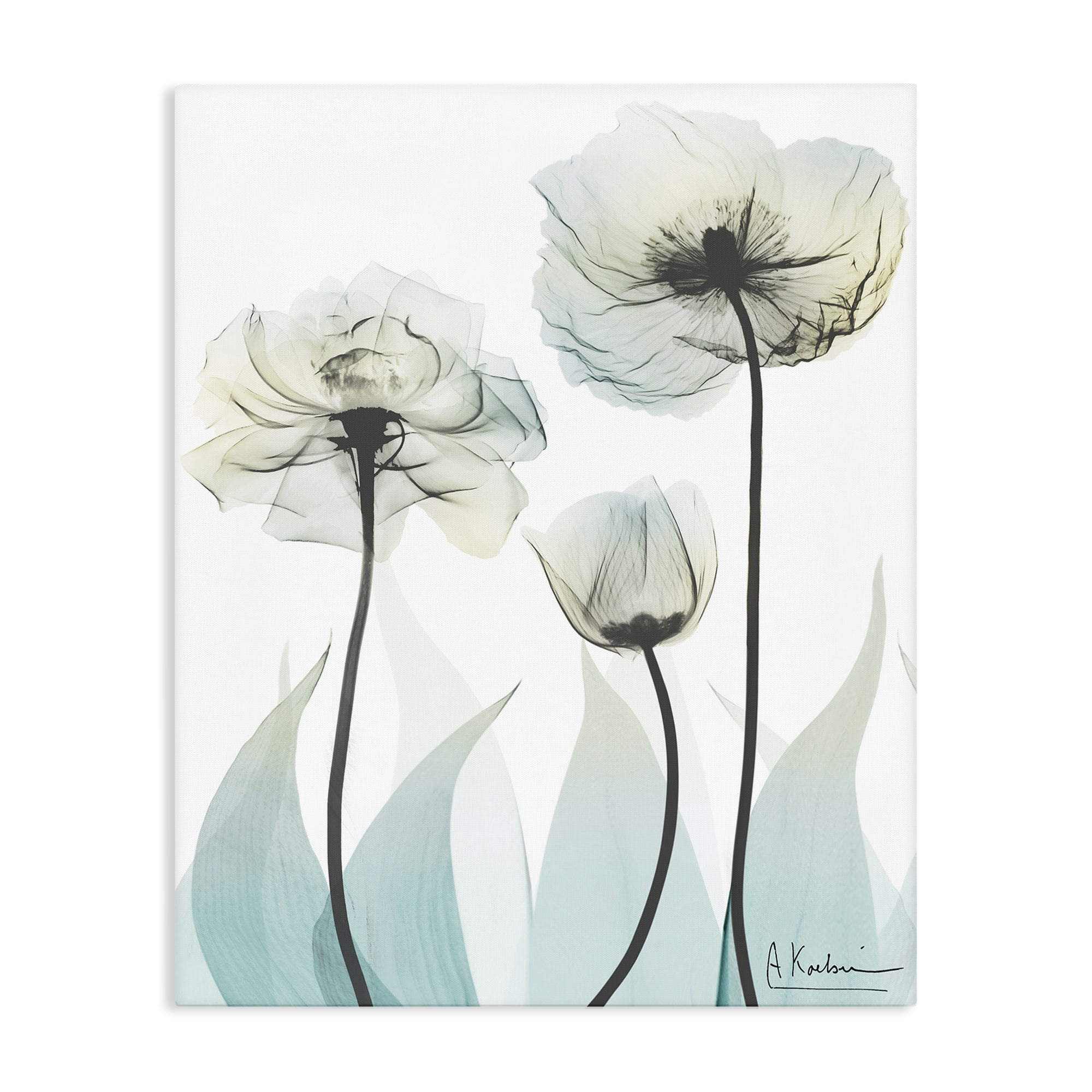 Stupell Industries Luxury Of Creation Canvas Wall Art, design by Albert Koetsier