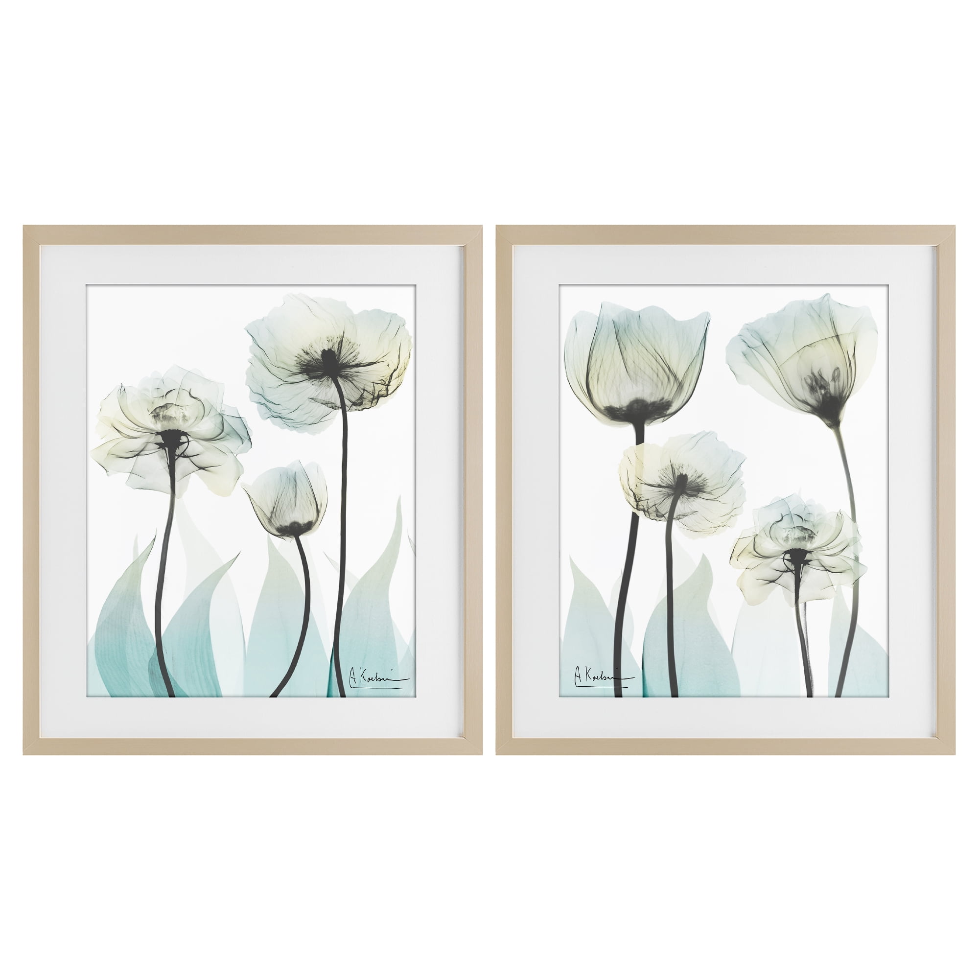 Stupell Industries Luxury Of Creation Flowers 2 Piece Birch Framed Print Under Glass Set, design by Albert Koetsier