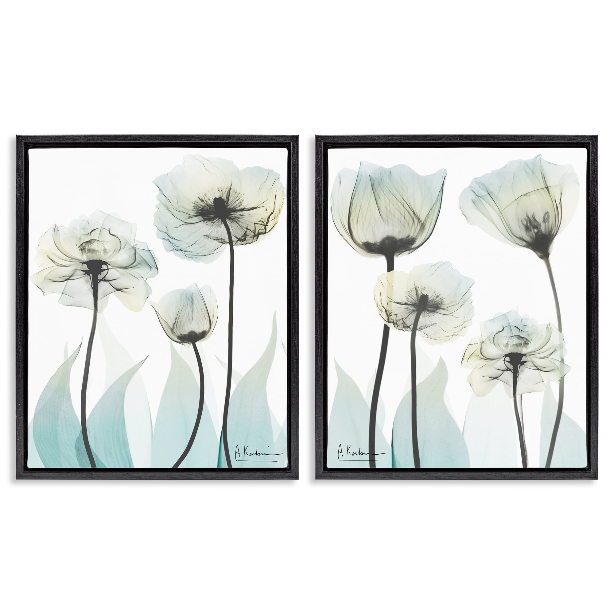 Stupell Industries Luxury Of Creation Flowers 2 Piece Black Framed Floater Canvas Set, design by Albert Koetsier