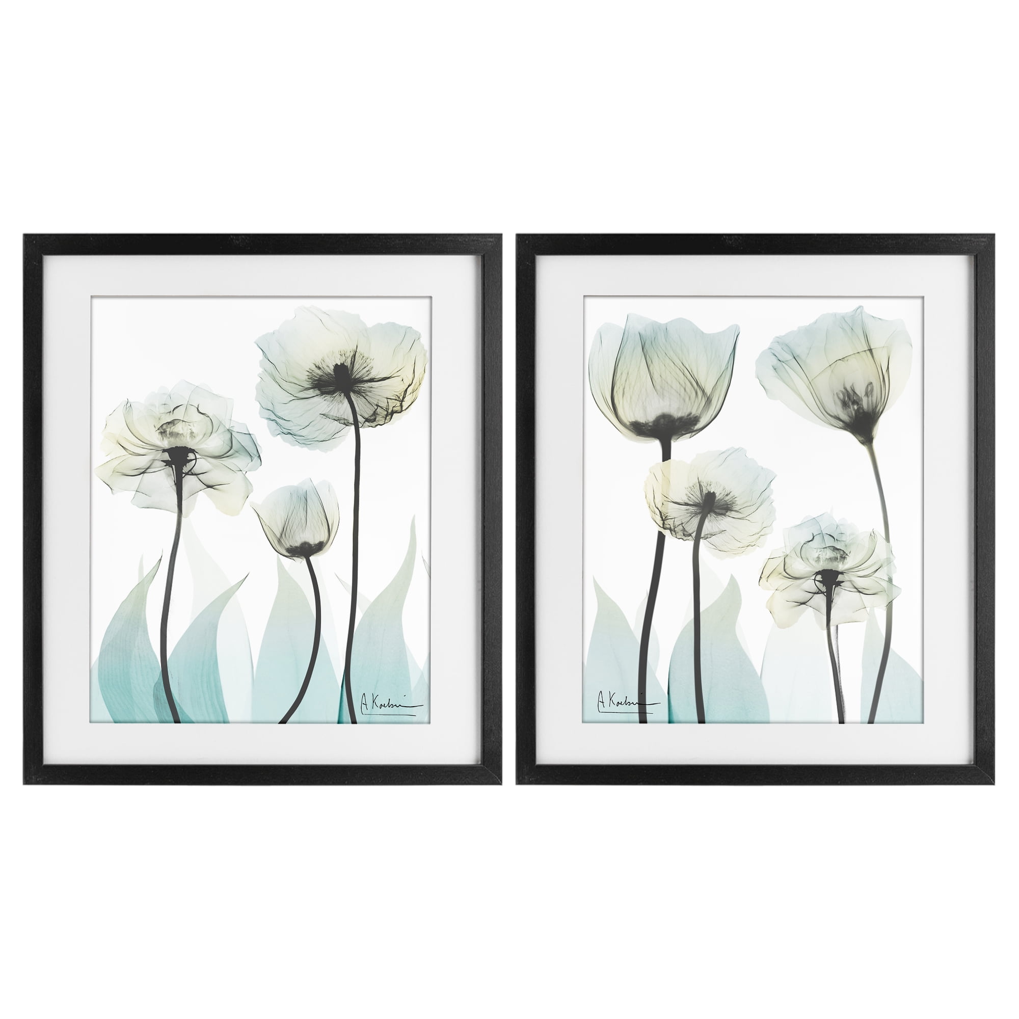 Stupell Industries Luxury Of Creation Flowers 2 Piece Black Framed Print Under Glass Set, design by Albert Koetsier