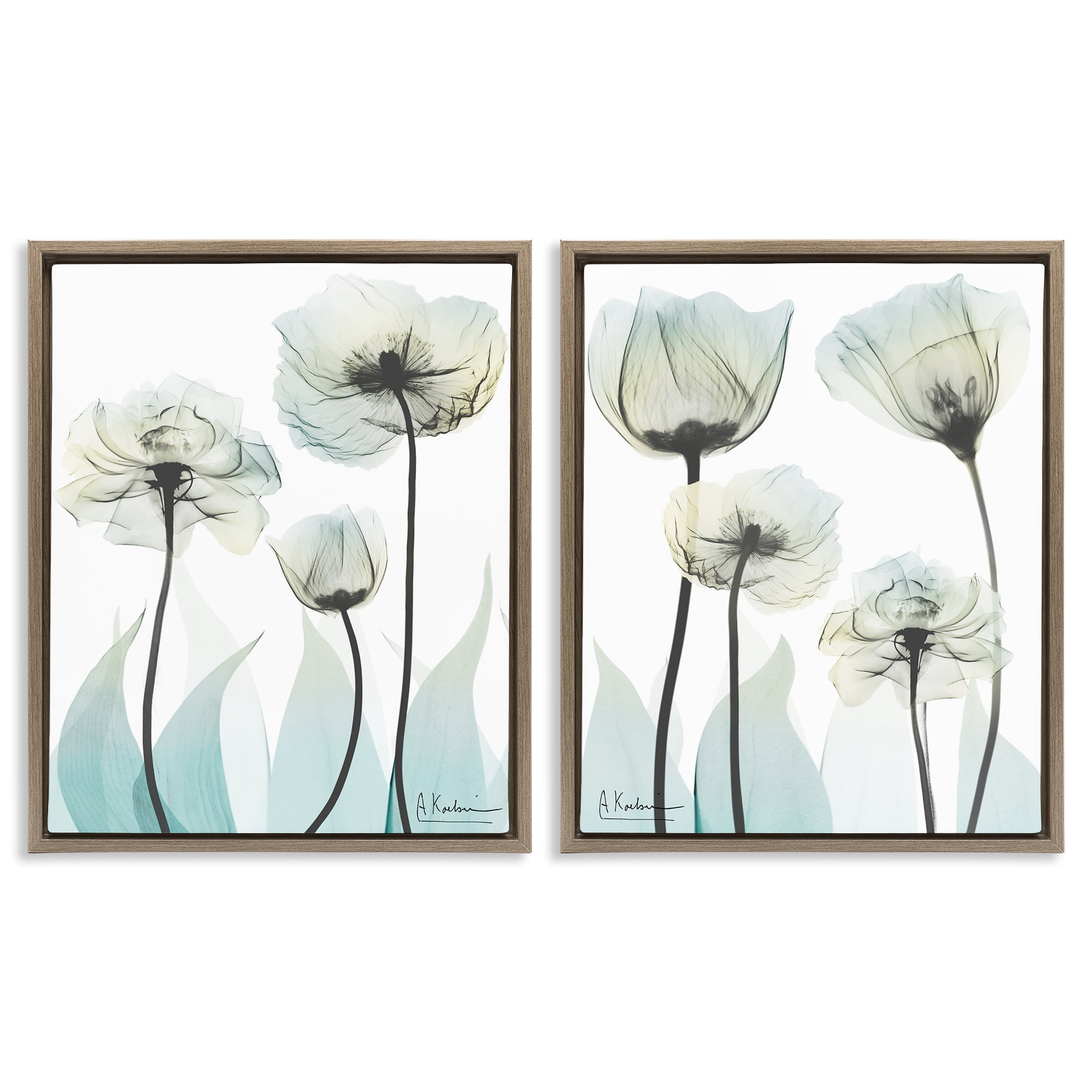 Stupell Industries Luxury Of Creation Flowers 2 Piece Brown Framed Floater Canvas Set, design by Albert Koetsier
