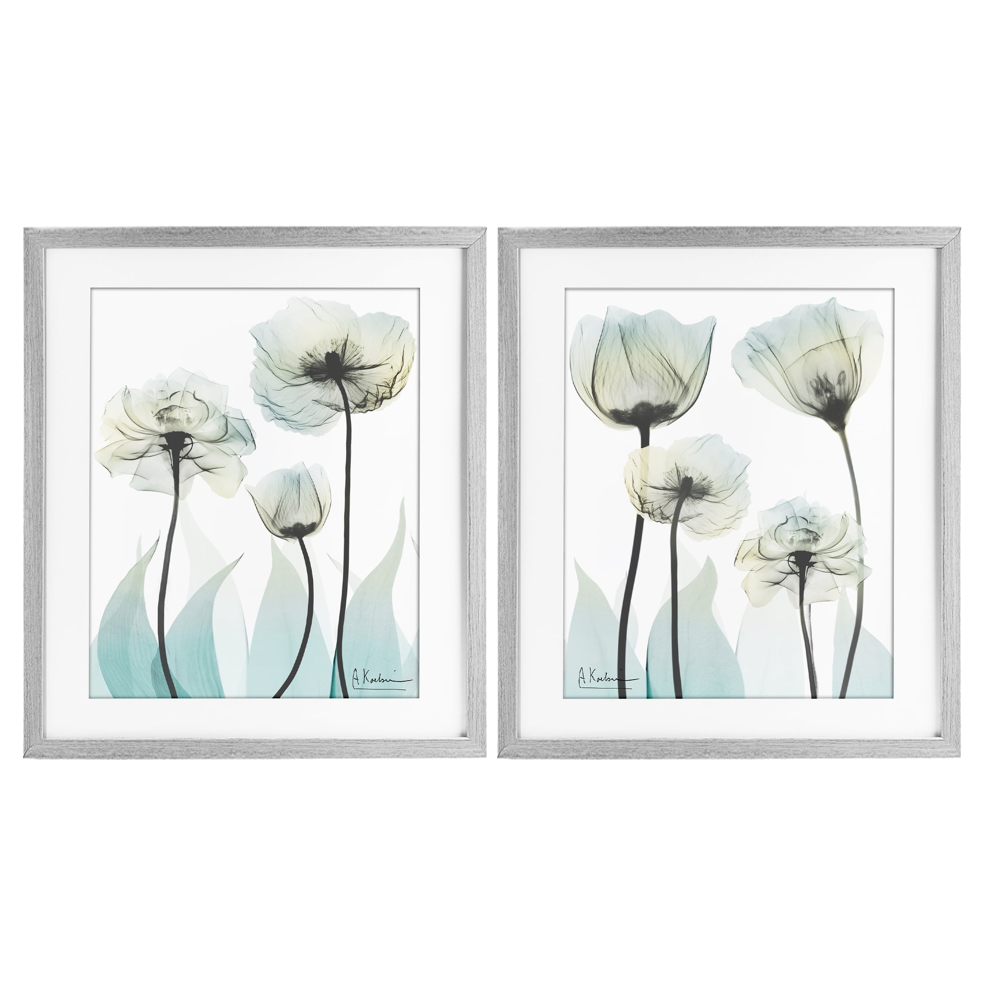 Stupell Industries Luxury Of Creation Flowers 2 Piece Gray Framed Print Under Glass Set, design by Albert Koetsier