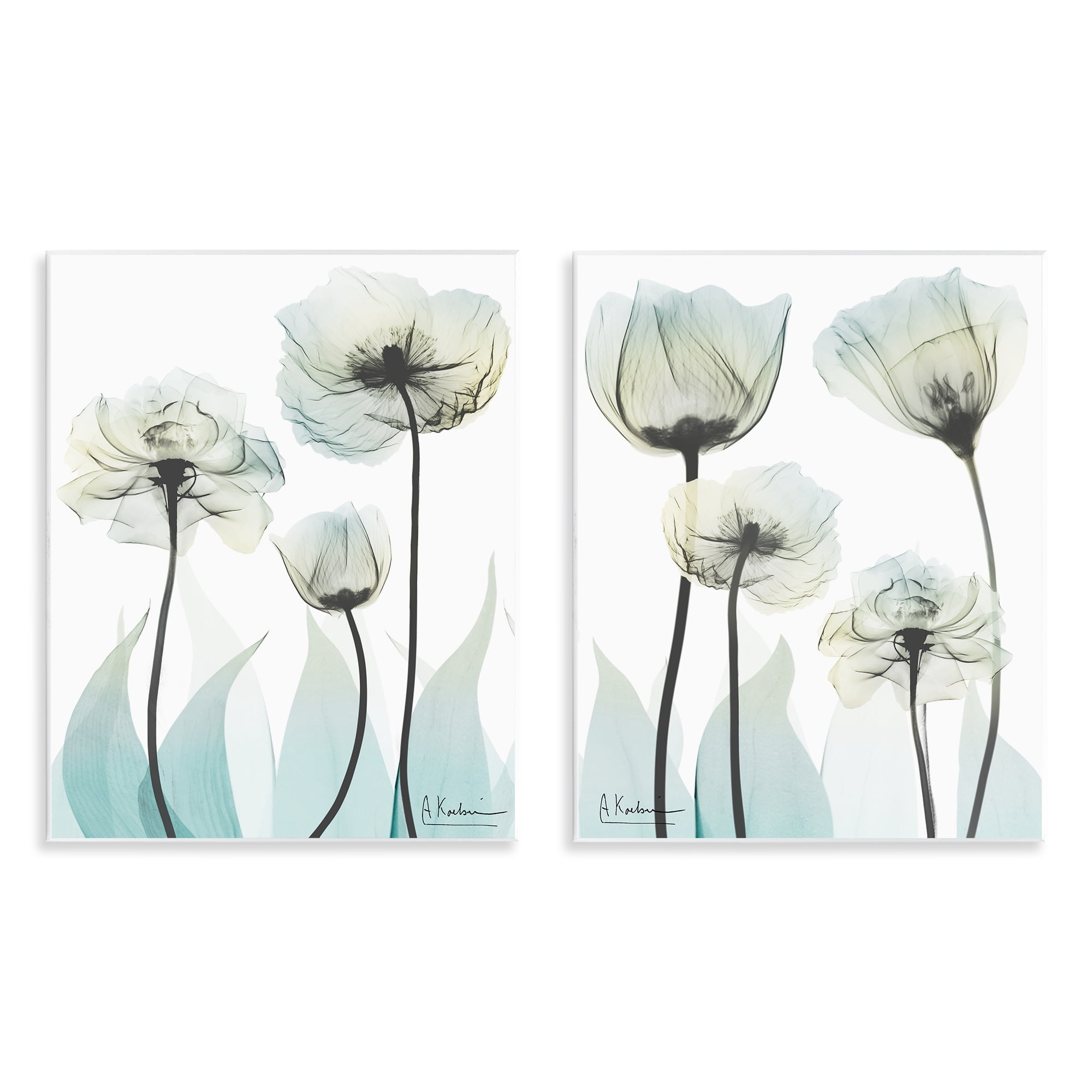 Stupell Industries Luxury Of Creation Flowers 2 Piece Wall Plaque Art Set, design by Albert Koetsier