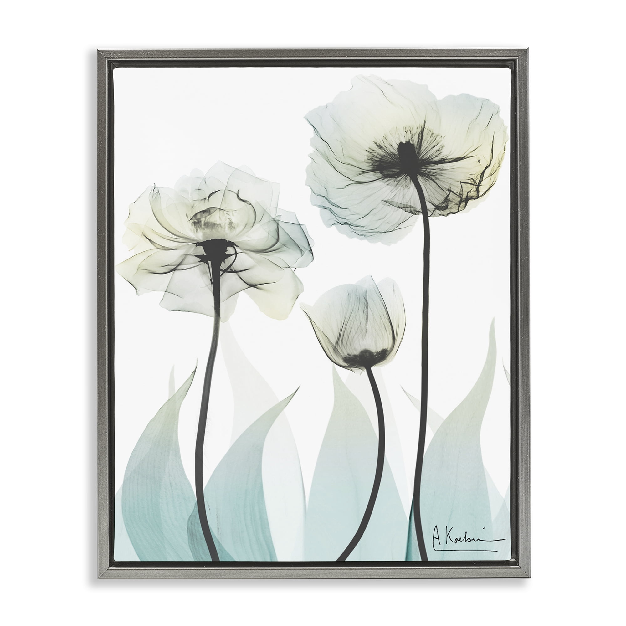 Stupell Industries Luxury Of Creation Gray Framed Floater Canvas Wall Art, design by Albert Koetsier