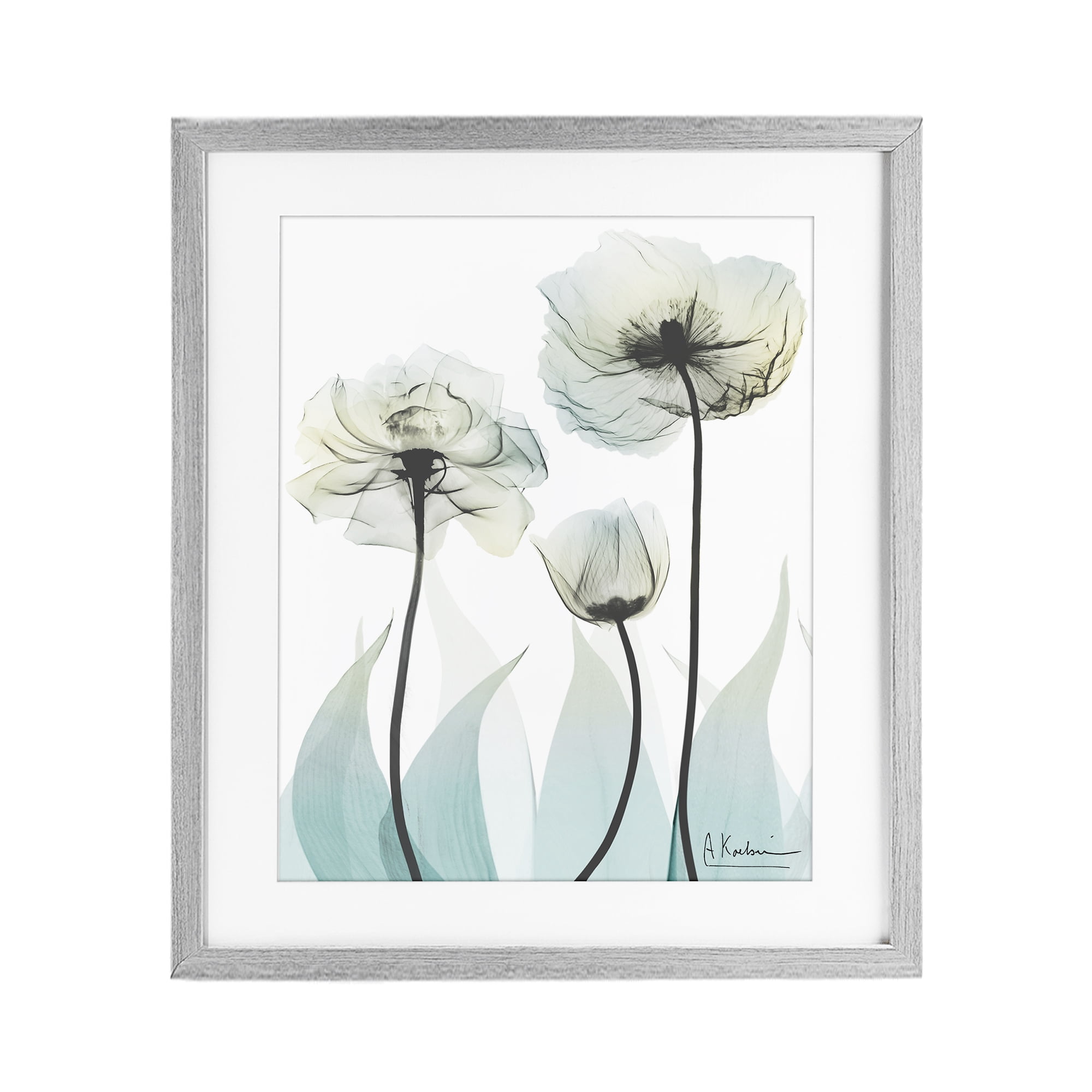 Stupell Industries Luxury Of Creation Gray Framed Print Under Glass, design by Albert Koetsier