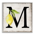 thumbnail image 1 of Stupell Industries M with Lemon Letter Food & Beverage Painting Gray Framed Art Print Wall Art, 24 x 24, 1 of 2