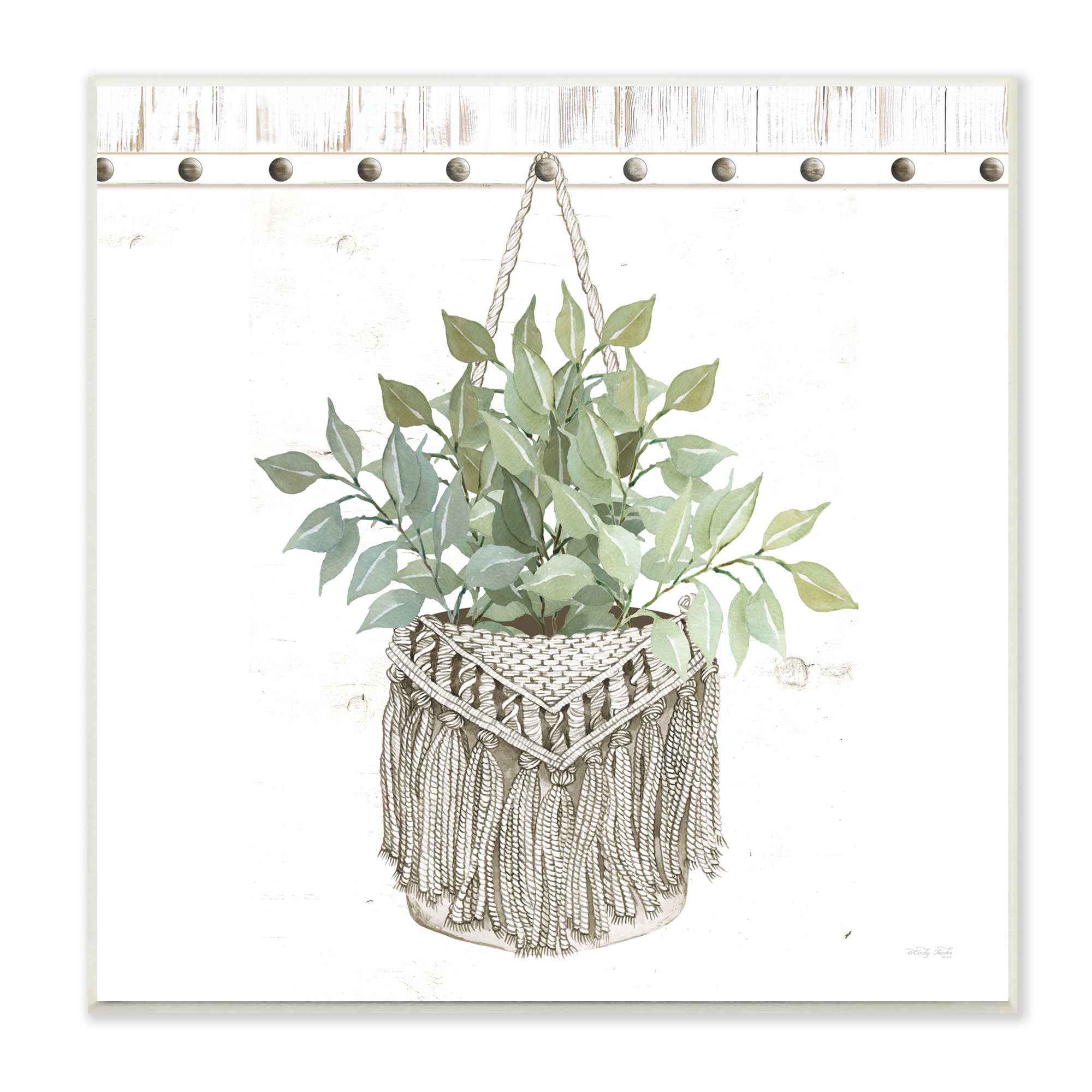 Stupell Industries Macrame Woven Tapestry Hanging Pot Planter,12 x 12, Design by Cindy Jacobs