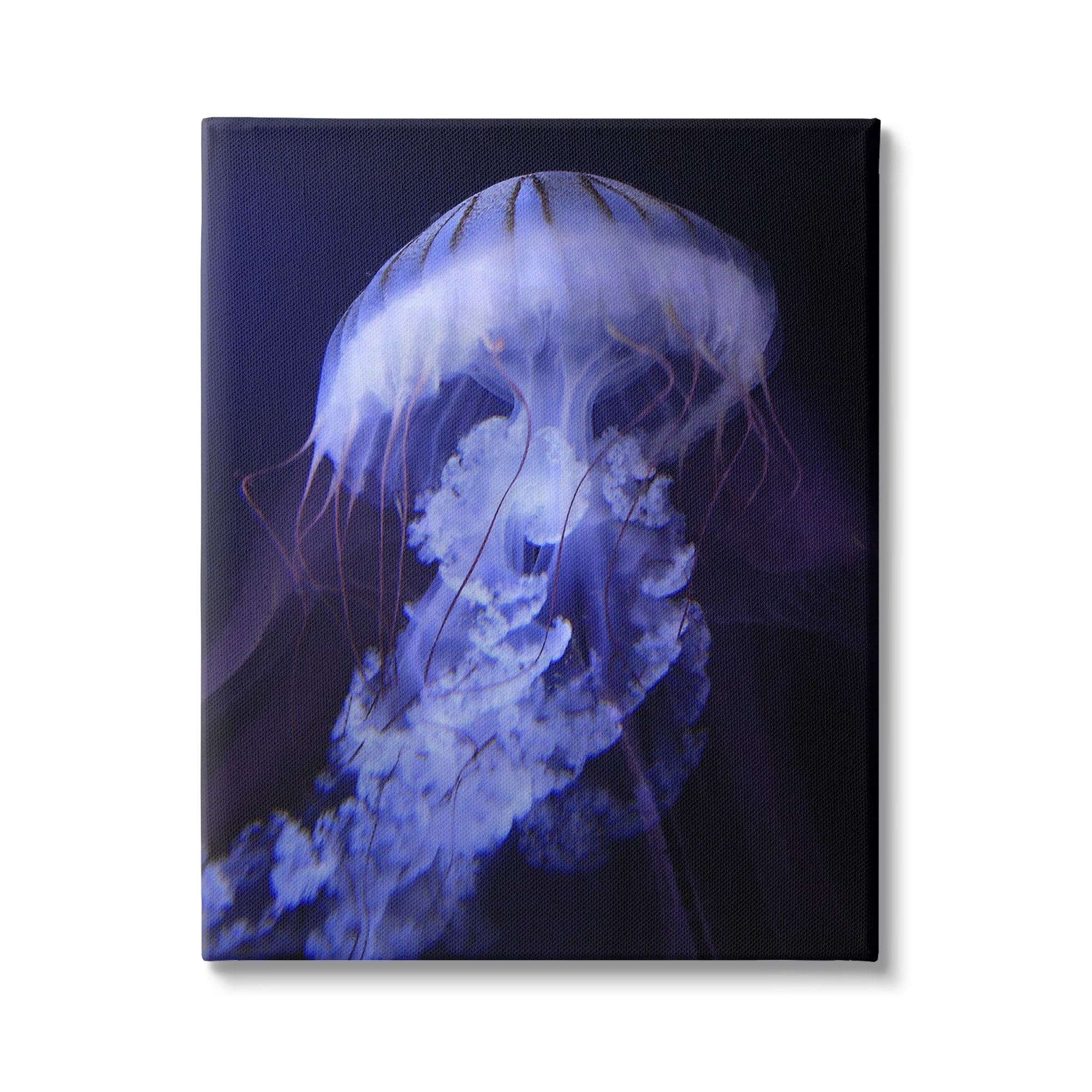 Stupell Industries Magical Purple Detailed Jellyfish Ocean Sea Life Canvas Wall Art, 16 x 20, Design by Steve Hunziker