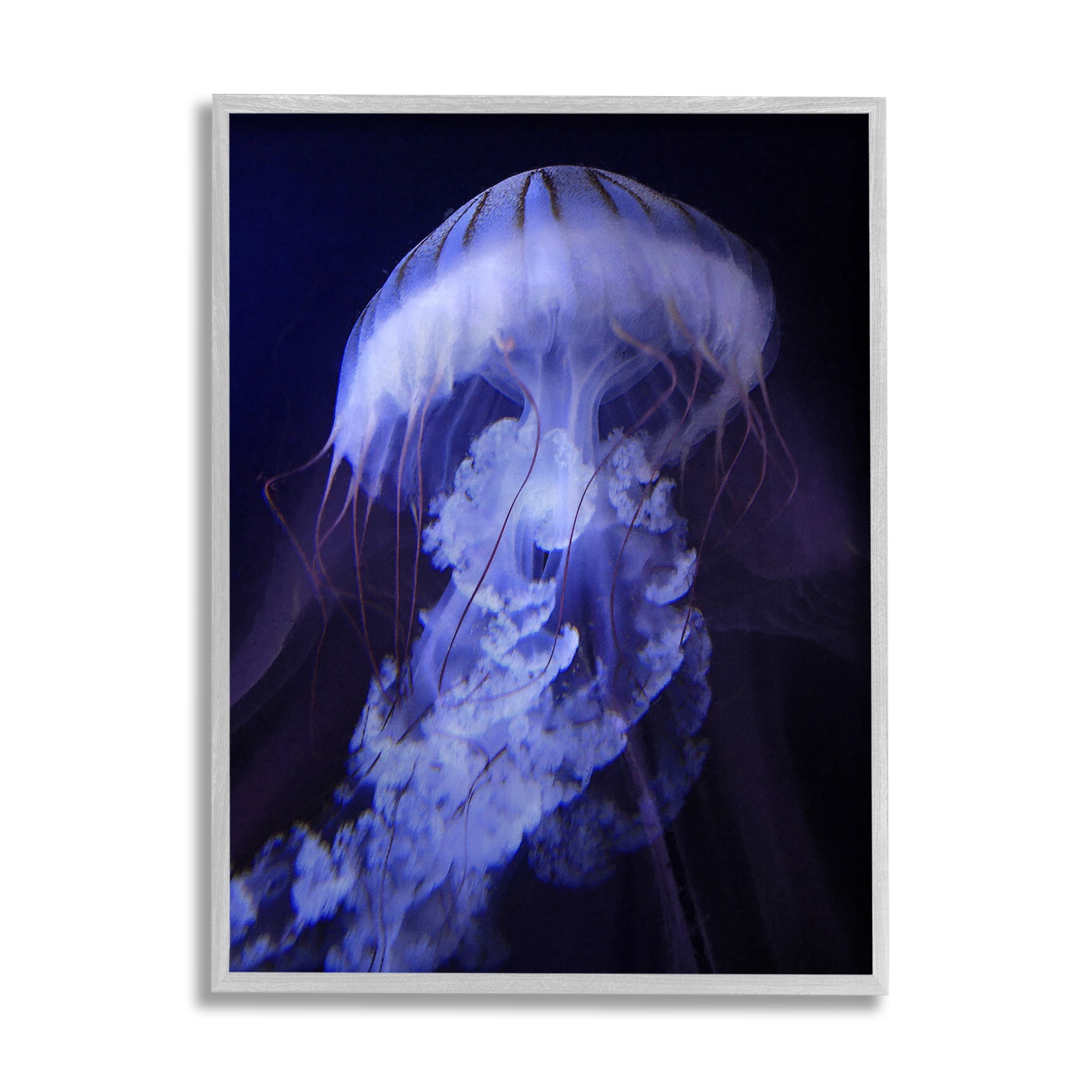 Magical Purple Detailed Jellyfish Ocean Sea Life Animals & Insects Photograph Framed Art Print Wall Art