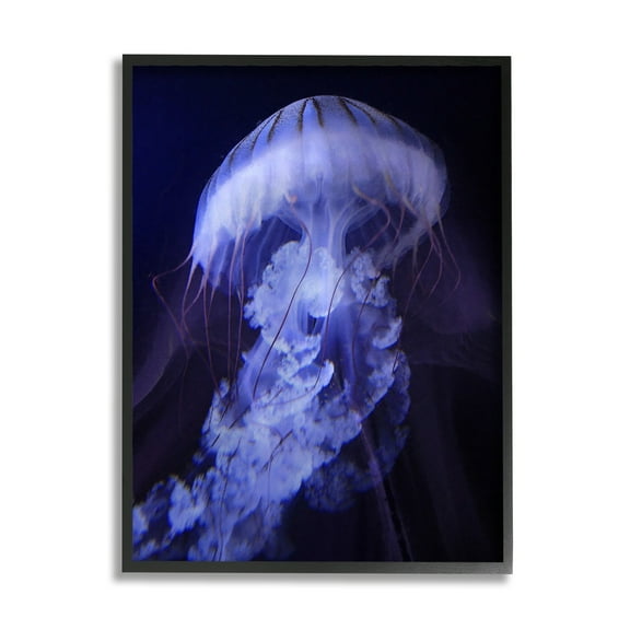 Stupell Industries Magical Purple Detailed Jellyfish Ocean Sea Life Framed Wall Art, 16 x 20, Design by Steve Hunziker