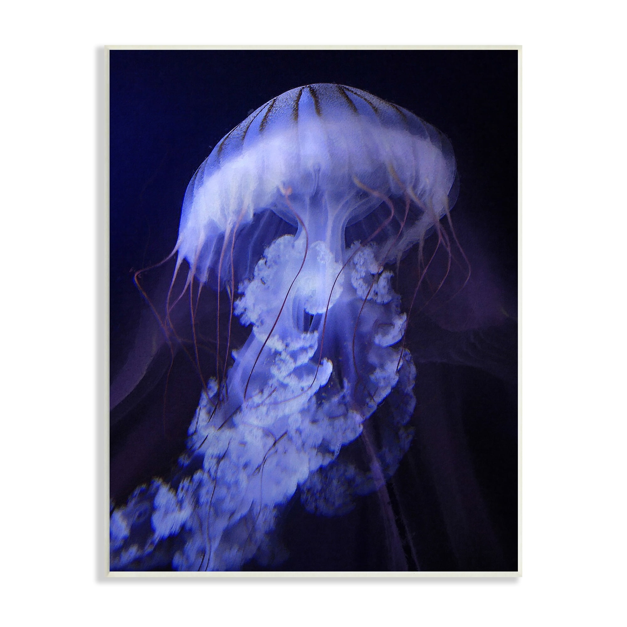 Stupell Industries Magical Purple Detailed Jellyfish Ocean Sea Life Wood Wall Art, 10 x 15, Design by Steve Hunziker