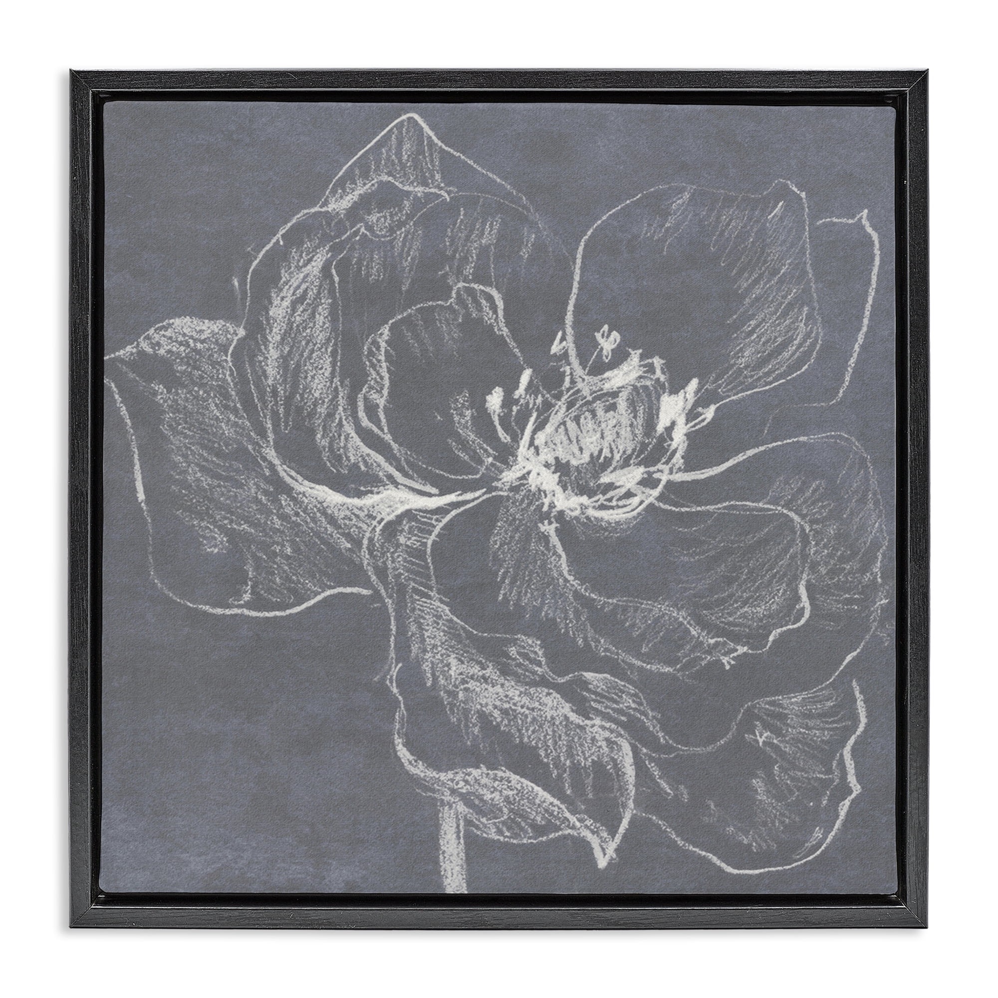 Stupell Industries Magnolia Doodle Outline Plants & Flowers Drawing Black Floater Framed Canvas Art Print Wall Art, 25 x 25