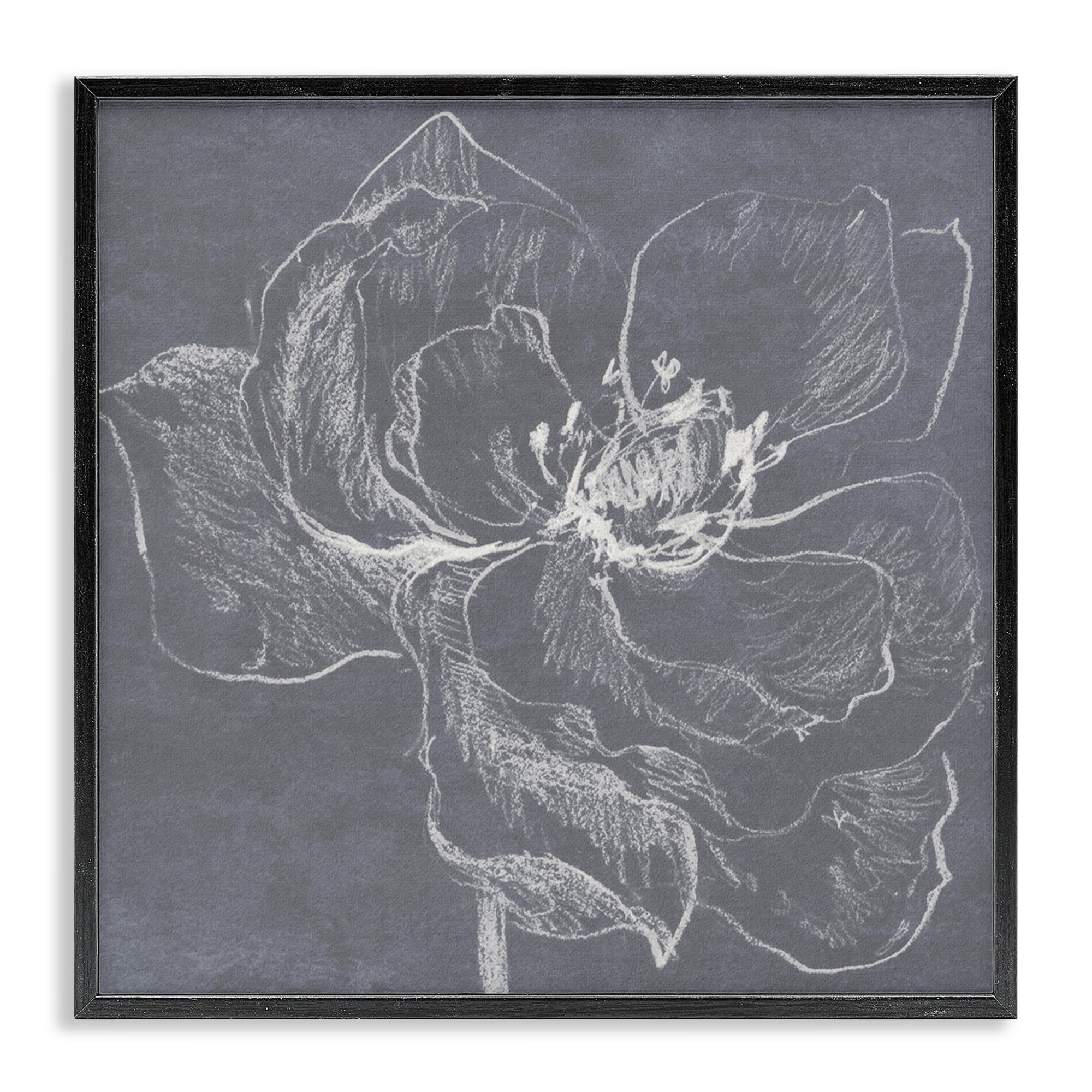 Stupell Industries Magnolia Doodle Outline Plants & Flowers Drawing Black Framed Art Print Wall Art, 12 x 12