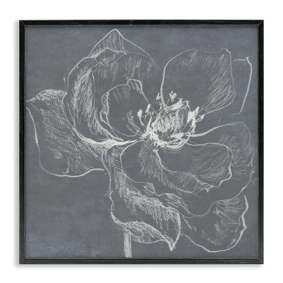 Stupell Industries Magnolia Doodle Outline Plants & Flowers Drawing Black Framed Art Print Wall Art, 12 x 12