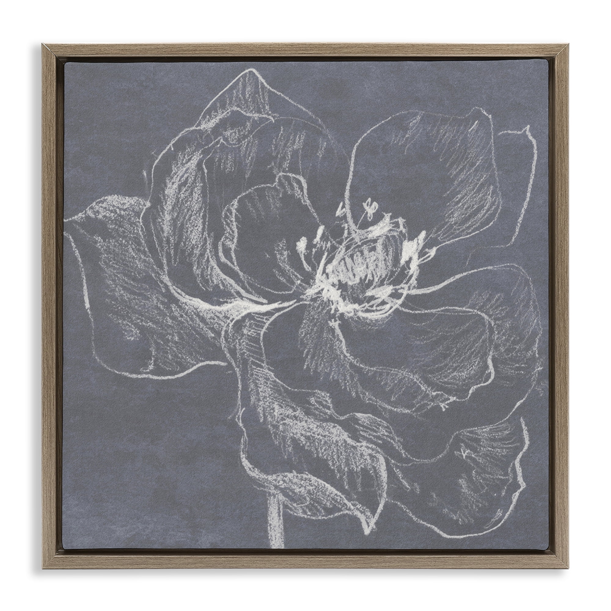 Stupell Industries Magnolia Doodle Outline Plants & Flowers Drawing Brown Floater Framed Canvas Art Print Wall Art, 18 x 18
