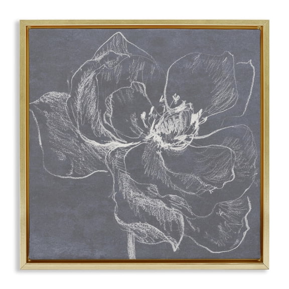 Stupell Industries Magnolia Doodle Outline Plants & Flowers Drawing Gold Floater Framed Canvas Art Print Wall Art, 25 x 25