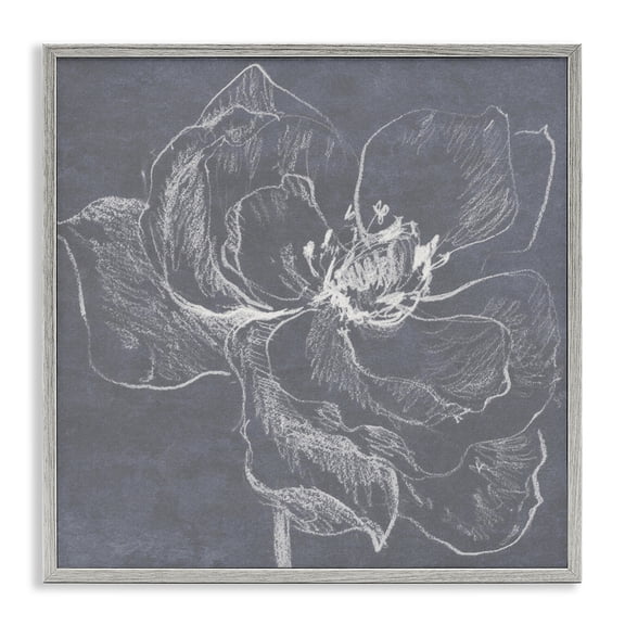 Stupell Industries Magnolia Doodle Outline Plants & Flowers Drawing Gray Framed Art Print Wall Art, 12 x 12