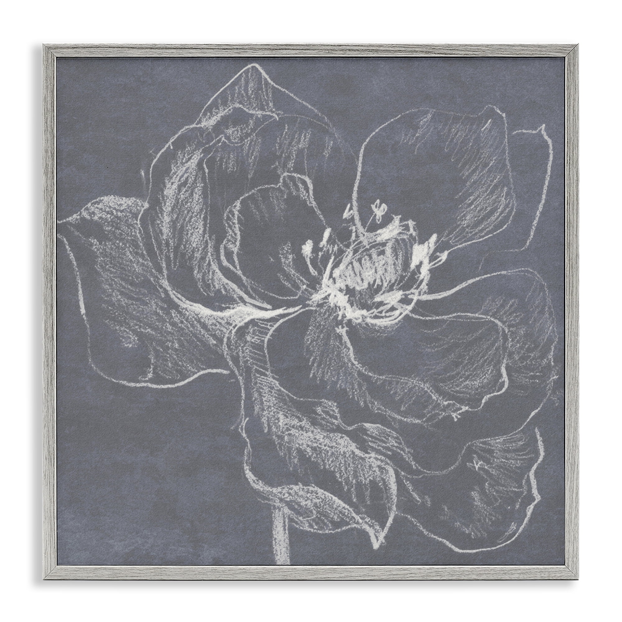 Stupell Industries Magnolia Doodle Outline Plants & Flowers Drawing Gray Framed Art Print Wall Art, 24 x 24