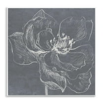 Stupell Industries Magnolia Doodle Outline Plants & Flowers Drawing Unframed Art Print Wall Art, 12 x 12