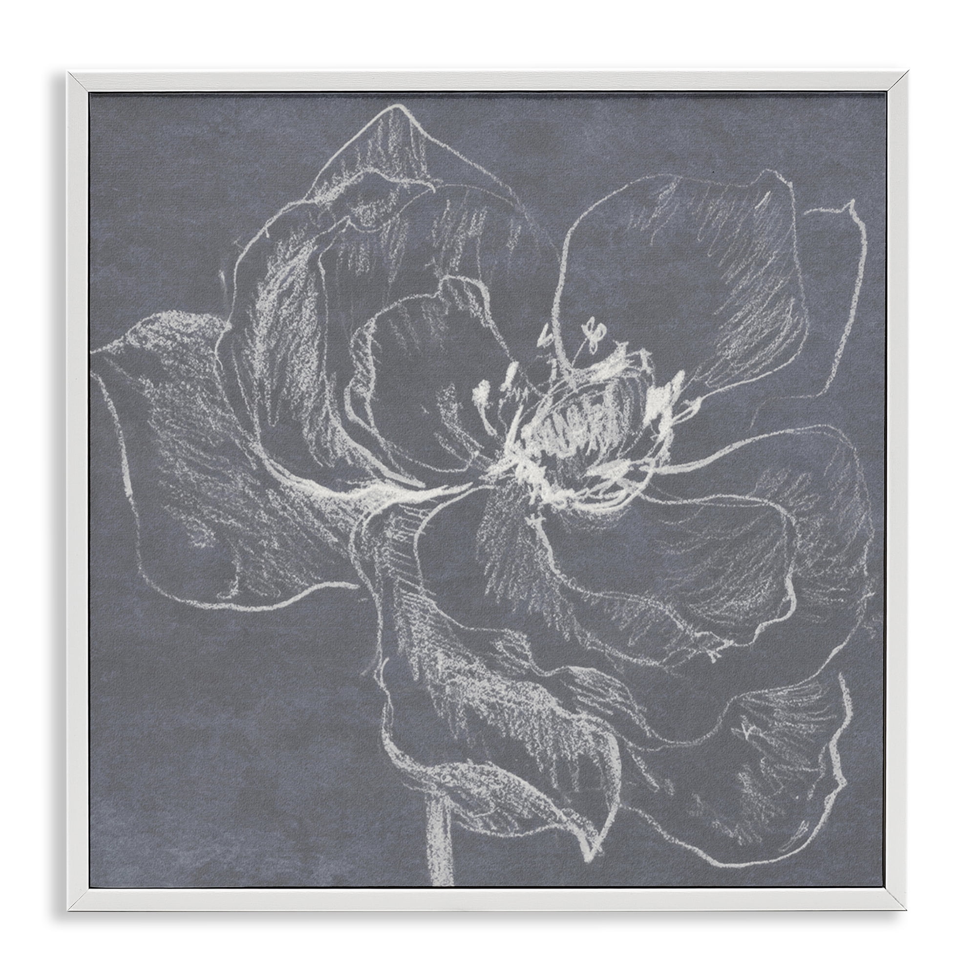 Stupell Industries Magnolia Doodle Outline Plants & Flowers Drawing White Framed Art Print Wall Art, 24 x 24