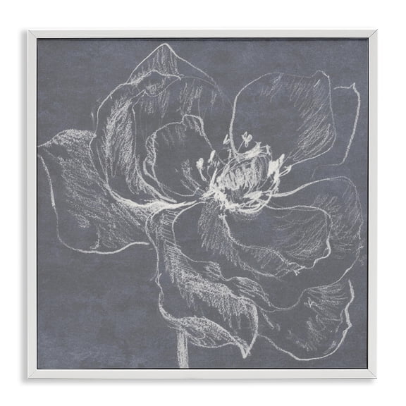 Stupell Industries Magnolia Doodle Outline Plants & Flowers Drawing White Framed Art Print Wall Art, 24 x 24
