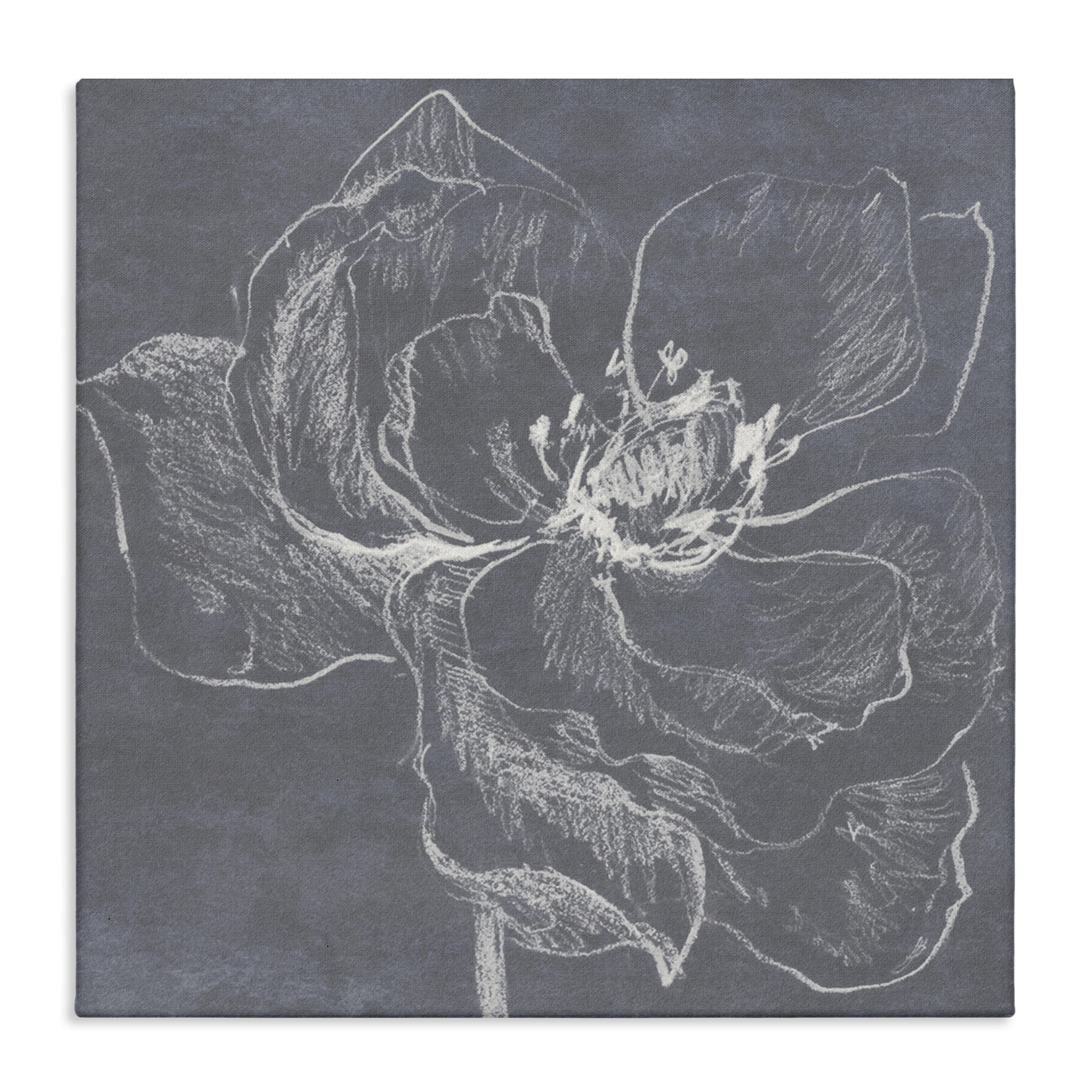 Stupell Industries Magnolia Doodle Outline Plants & Flowers Drawing Wrapped Canvas Art Print Wall Art, 36 x 36