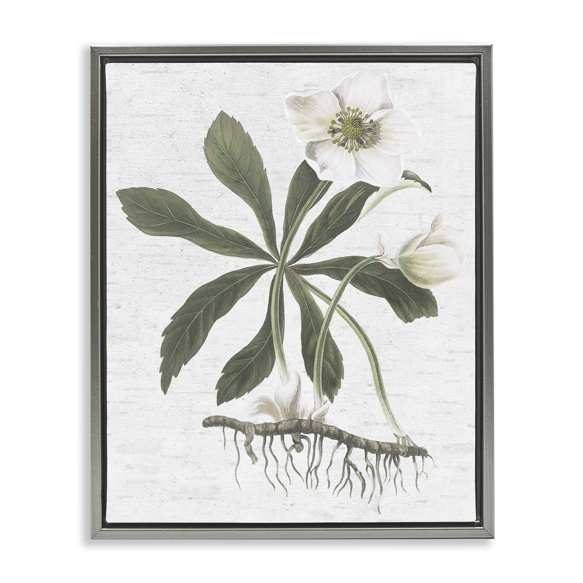 Stupell Industries Magnolia Flower Study Botanical & Floral Painting Gray Floater Framed Art Print Wall Art, 25 x 31