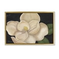 thumbnail image 1 of Stupell Industries Magnolia Grandiflora on Black Gold Framed Floater Canvas Wall Art design by Paul Brent, 21 x 31, 1 of 9