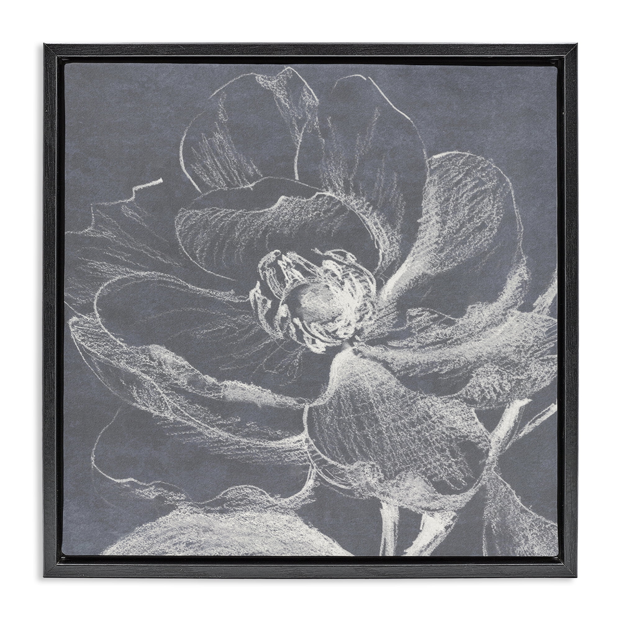 Stupell Industries Magnolia Sketch Impression Plants & Flowers Drawing Black Floater Framed Canvas Art Print Wall Art, 25 x 25