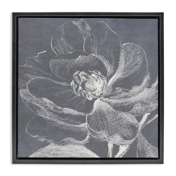 Stupell Industries Magnolia Sketch Impression Plants & Flowers Drawing Black Floater Framed Canvas Art Print Wall Art, 25 x 25