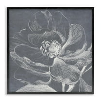 Stupell Industries Magnolia Sketch Impression Plants & Flowers Drawing Black Framed Art Print Wall Art, 12 x 12