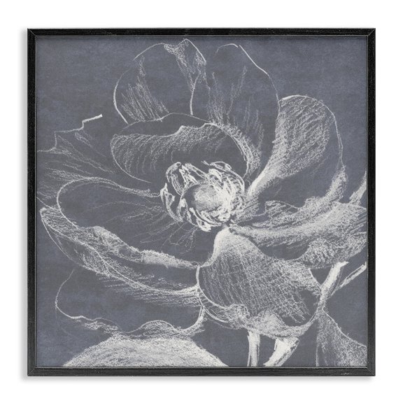 Stupell Industries Magnolia Sketch Impression Plants & Flowers Drawing Black Framed Art Print Wall Art, 24 x 24