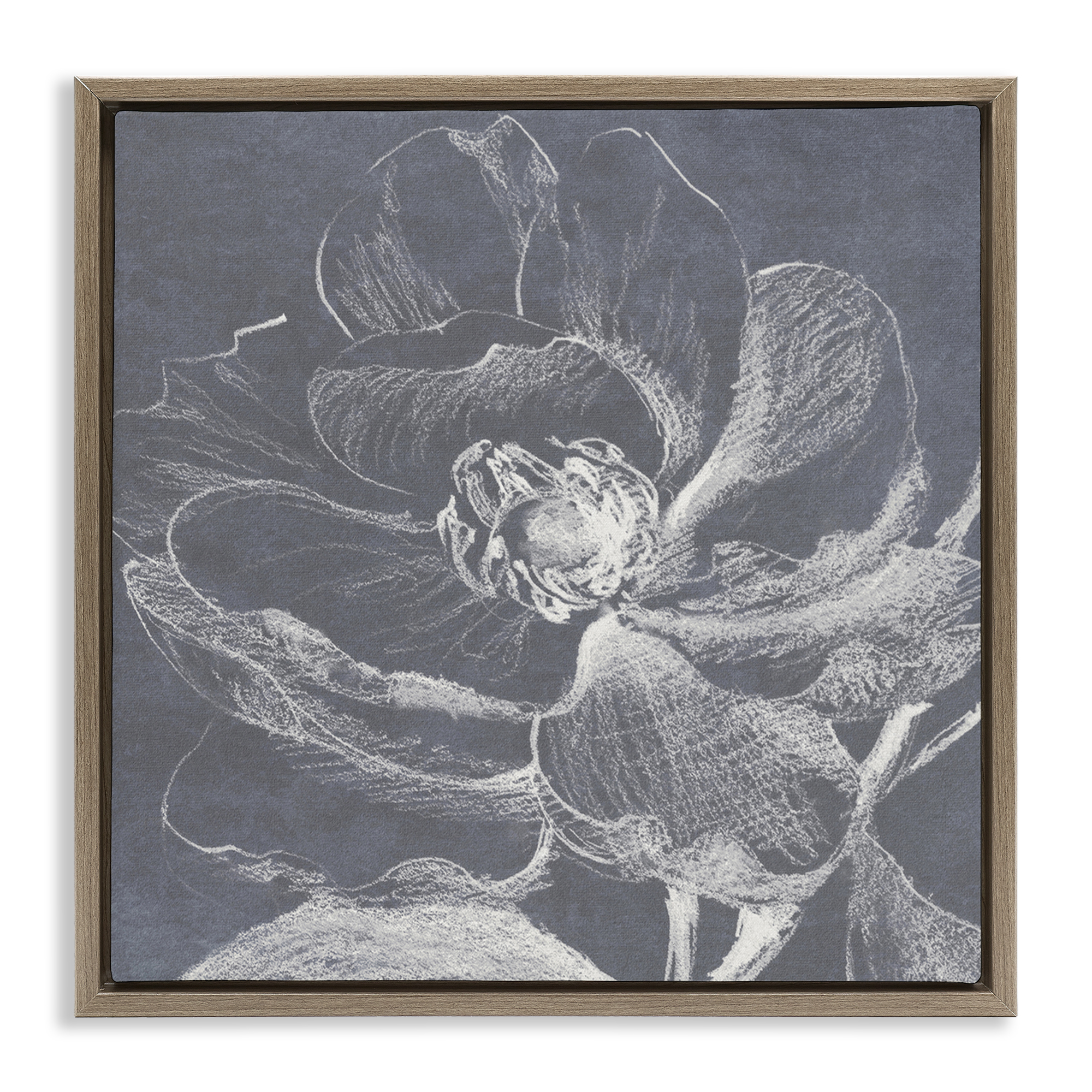Stupell Industries Magnolia Sketch Impression Plants & Flowers Drawing Brown Floater Framed Canvas Art Print Wall Art, 18 x 18