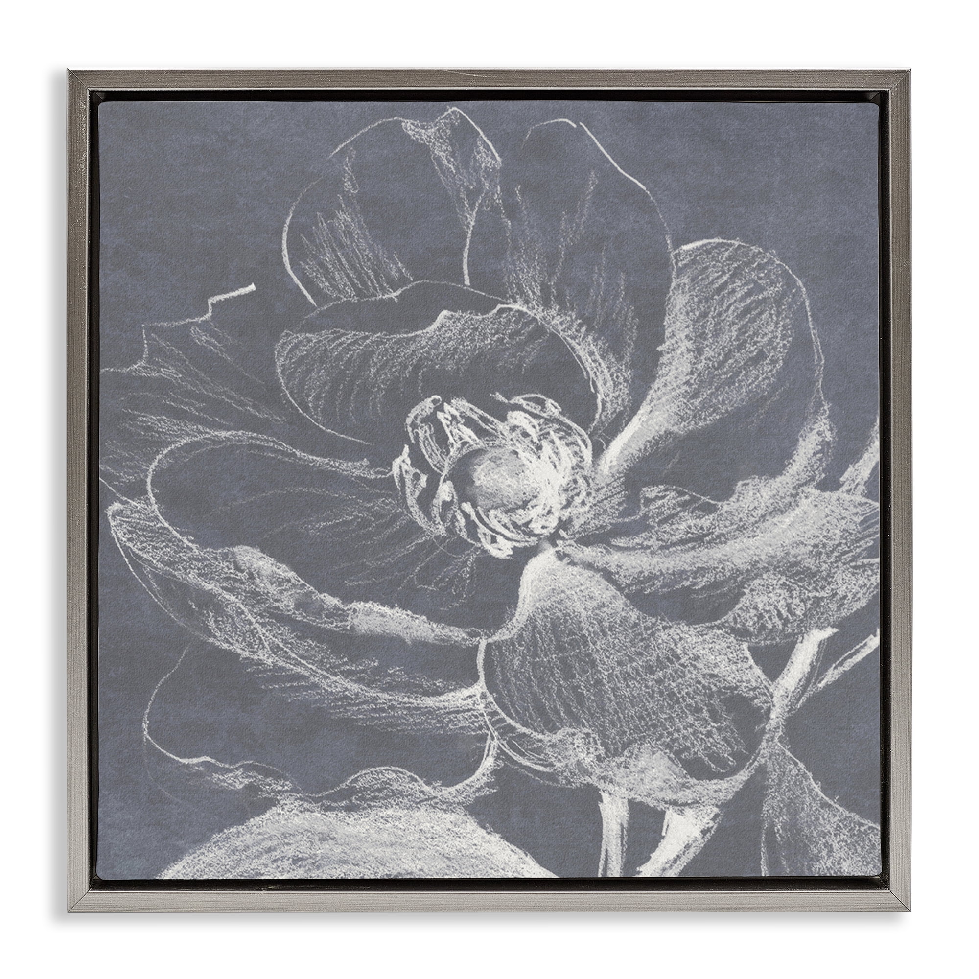 Stupell Industries Magnolia Sketch Impression Plants & Flowers Drawing Gray Floater Framed Canvas Art Print Wall Art, 25 x 25