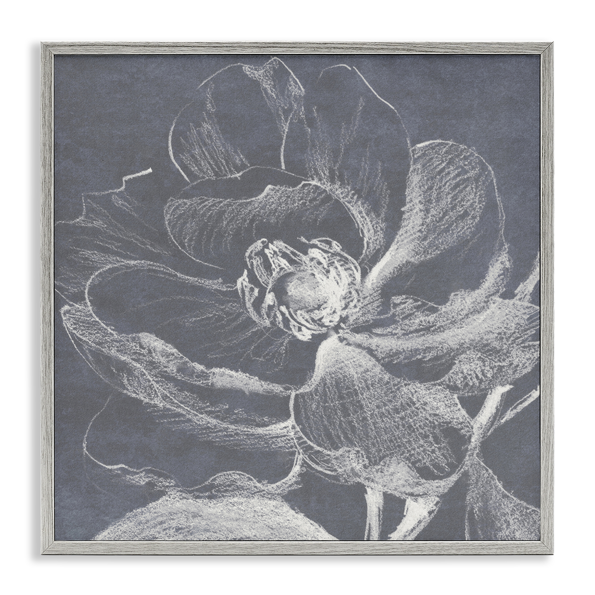 Stupell Industries Magnolia Sketch Impression Plants & Flowers Drawing Gray Framed Art Print Wall Art, 12 x 12