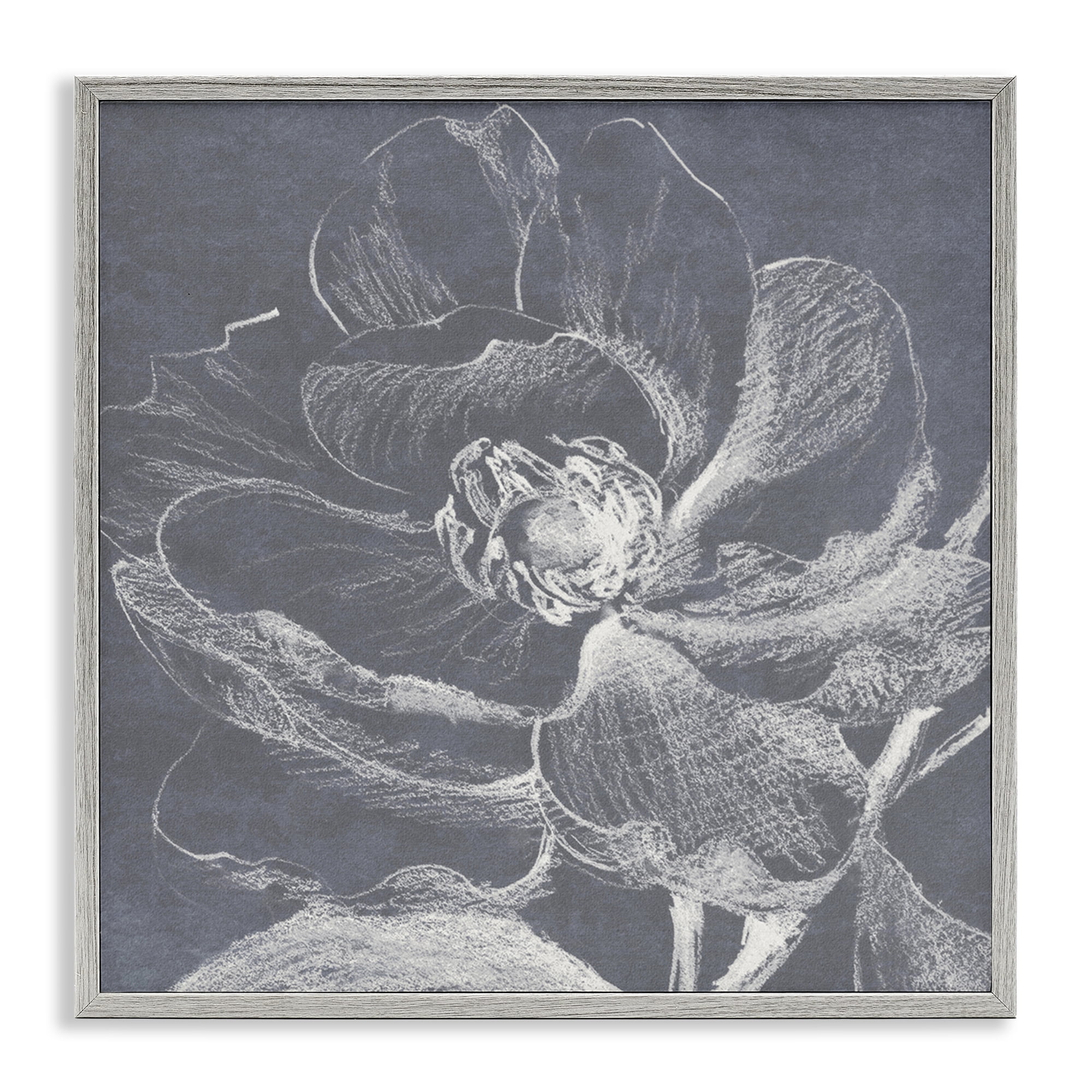 Stupell Industries Magnolia Sketch Impression Plants & Flowers Drawing Gray Framed Art Print Wall Art, 17 x 17
