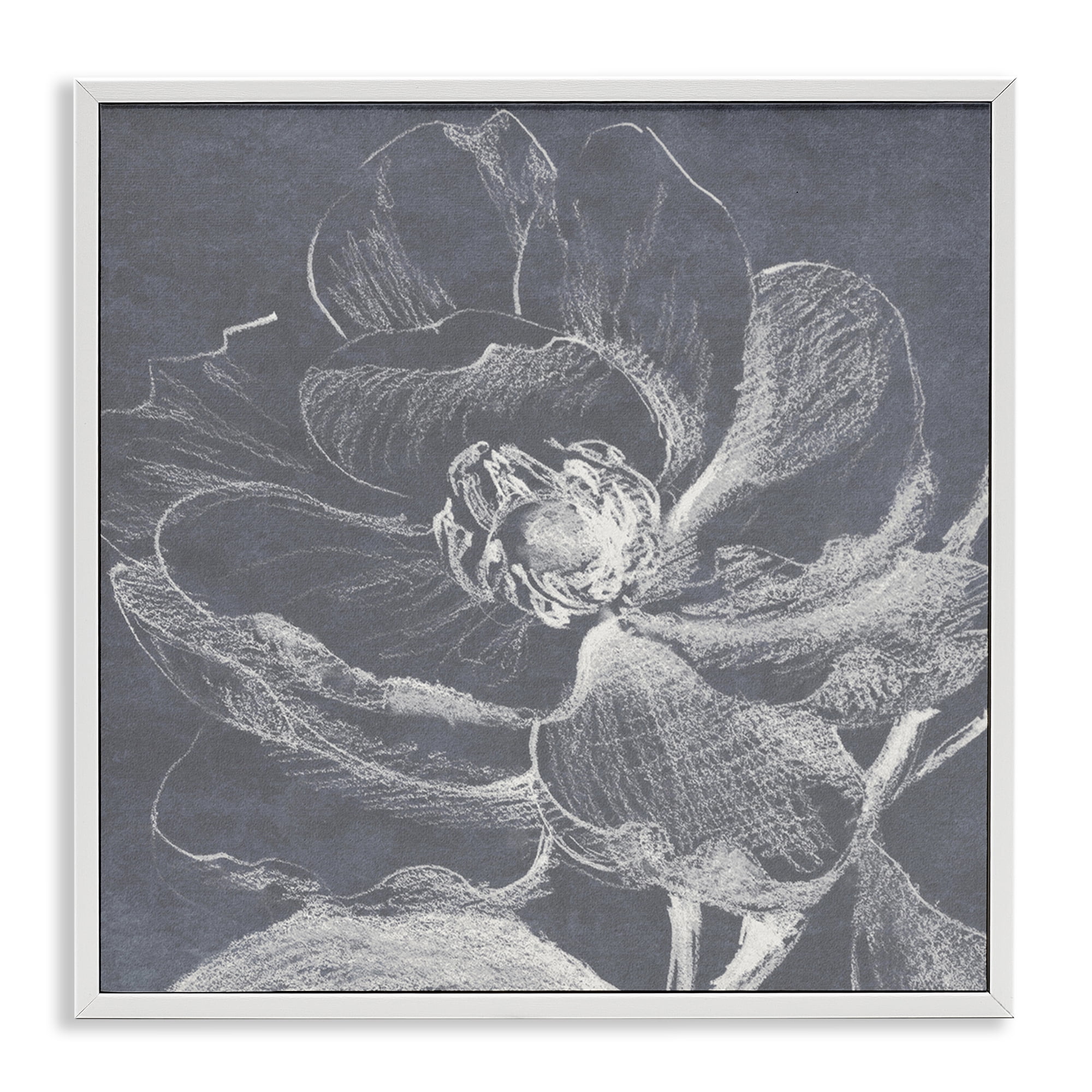 Stupell Industries Magnolia Sketch Impression Plants & Flowers Drawing White Framed Art Print Wall Art, 24 x 24