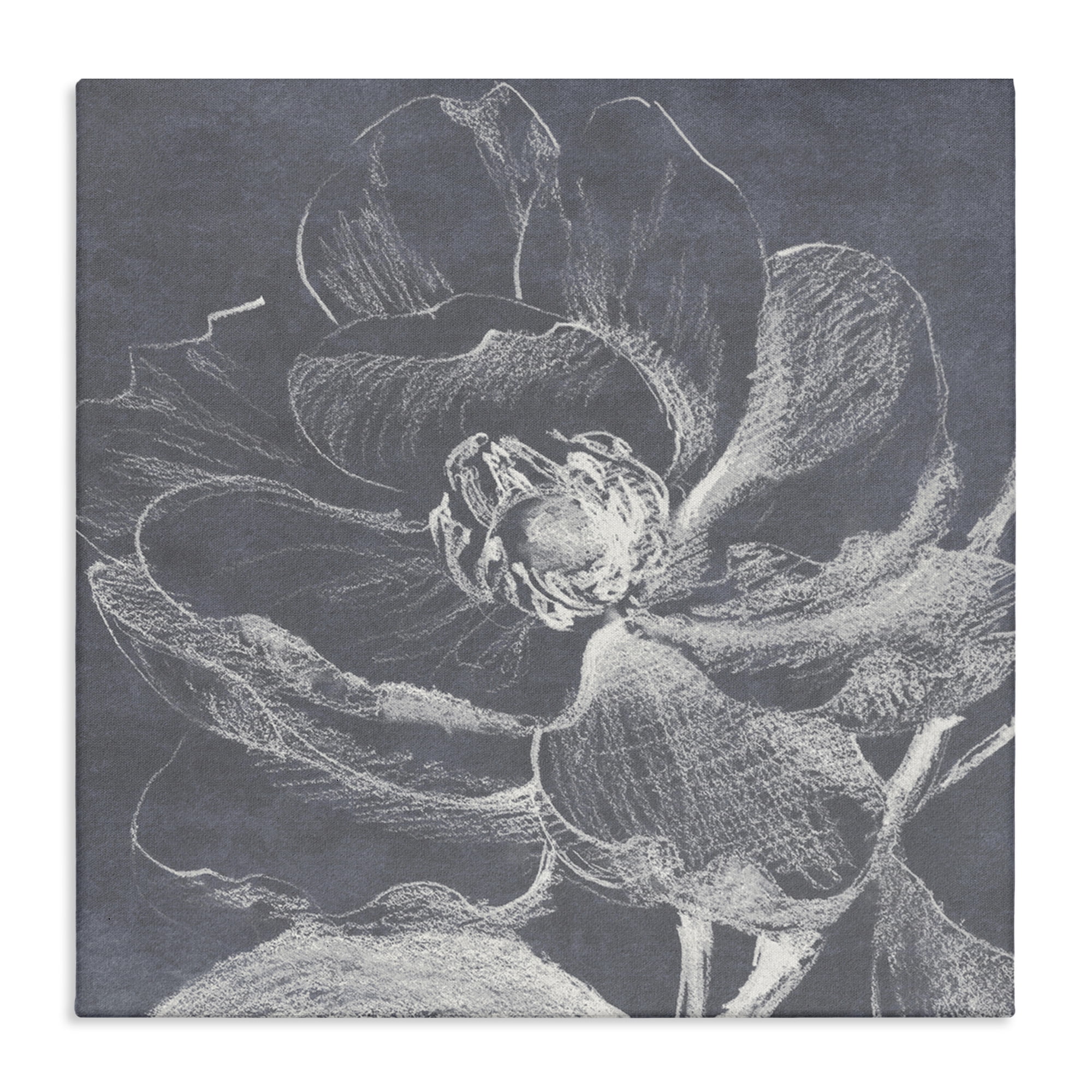 Stupell Industries Magnolia Sketch Impression Plants & Flowers Drawing Wrapped Canvas Art Print Wall Art, 30 x 30